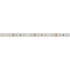 Светодиодная лента RTW 2-5000SE 12V Day (3528, 300 LED, LUX) (Arlight, 4.8 Вт/м, IP65) Lednikoff