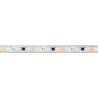 Светодиодная лента герметичная SPI-PFS-B60-12mm 12V RGB-PX3-BPT (12 W/m, IP68, 5060, 5m) (Arlight, бегущий огонь) Lednikoff