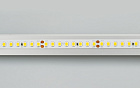 Светодиодная лента RT 2-5000 24V Day5000 2x (2835, 160 LED/m, LUX) (Arlight, 12 Вт/м, IP20) Lednikoff