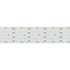 Светодиодная лента S2-2500 24V White 5500K 52mm (2835, 420 LED/m, LUX) (Arlight, 30 Вт/м, IP20) Lednikoff