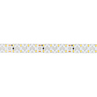 Светодиодная лента RZ-A160-15mm 24V White6000 (19.2 W/m, IP20, 2835, 5m) (Arlight, -) Lednikoff
