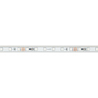 Светодиодная лента герметичная SPI-P-F72-11mm 24V RGB-PX6 (14.4 W/m, IP66, 3535, 5m) (Arlight, бегущий огонь) Lednikoff