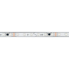 Светодиодная лента герметичная SPI-PS-B60-12mm 24V RGB-PX6-BPT (12 W/m, IP67, 5060, 5m) (Arlight, бегущий огонь) Lednikoff