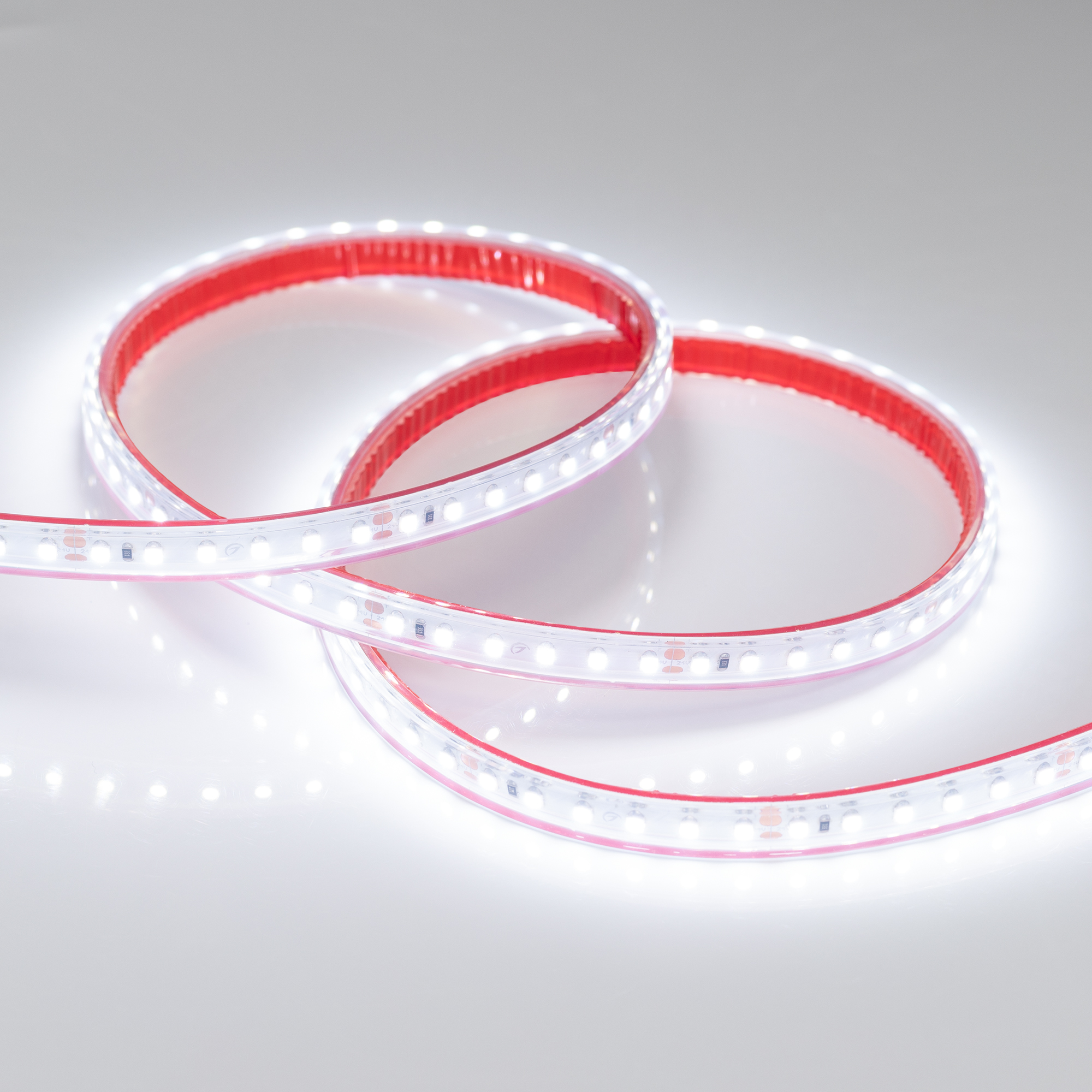 Светодиодная лента RTW 2-5000PS 24V White6000 2x (3528, 600 LED, LUX) (Arlight, 9.6 Вт/м, IP67) Lednikoff