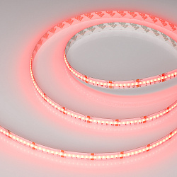 Светодиодная лента CSP-X840-12mm 24V RGBW-Day (17.2 W/m, IP20, 5m) (Arlight, 5 лет)