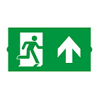 Пиктограмма EMGP-DIRECT-UP (Вверх) (Arlight, Пластик) Lednikoff