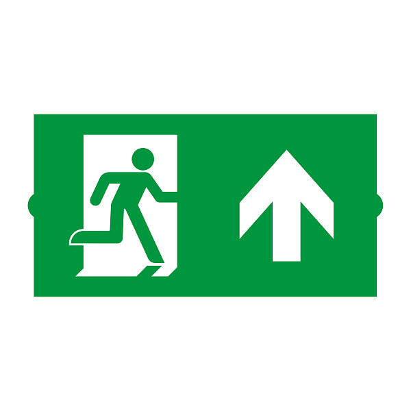 Пиктограмма EMGP-DIRECT-UP (Вверх) (Arlight, Пластик) Lednikoff