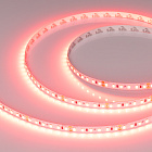 Светодиодная лента RT-A120-8mm 24V Scarlet (9.6 W/m, IP20, 2835, 5m) (Arlight, -) Lednikoff