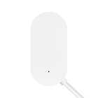 INTELLIGENT ARLIGHT Датчик протечки TY-ZB-801-16-72-SUF White (3V, External sensor) (IARL, IP20 Пластик, 2 года) Lednikoff