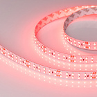 Светодиодная лента RT 2-5000 24V Red 2x2 (3528, 1200 LED, LUX) (Arlight, 19.2 Вт/м, IP20) Lednikoff