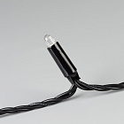 Светодиодная гирлянда ARD-STRING-CLASSIC-6000-BLACK-40LED-LIVE RGB-SPI (12V, 26W) (Ardecoled, IP65) Lednikoff