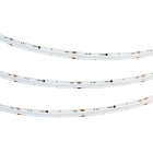 Светодиодная лента SPI-COB-X630-12mm 24V RGB-PX63 (11 W/m, IP20, 5m) (Arlight, -) Lednikoff