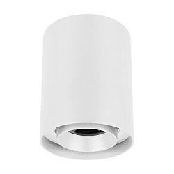 Светильник SP-FOCUS-R132-24W Day4000 (WH, 50 deg, 230V) (Arlight, IP54 Металл, 5 лет)