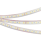 Светодиодная лента герметичная RTW-PFS-B60-13mm 24V Cool 10K (14.4 W/m, IP68, 5060, 5m) (Arlight, 14.4 Вт/м, IP68) Lednikoff