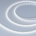 Светодиодная лента MICROLED-M168-4mm 24V White6000 (5 W/m, IP20, 2216, 5m) (Arlight, узкая) Lednikoff