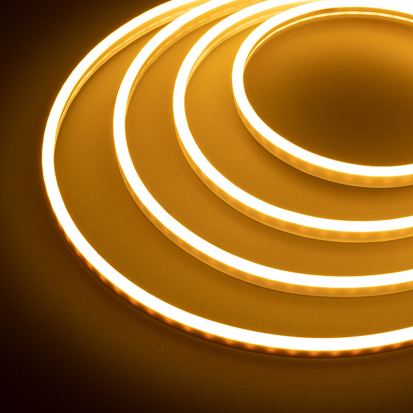 Гибкий неон GALAXY-1206-5000CFS-2835-100 12V Warm (12x6mm, 12W, IP67) (Arlight, 12 Вт/м, IP67) Lednikoff