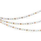 Светодиодная лента NT-A120-8mm 12V Warm2400 (9.6 W/m, IP20, 3528, 5m) (Arlight, 9.6 Вт/м, IP20) Lednikoff