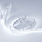 Светодиодная лента RT 2-5000 24V Cool 8K 2x (2835, 600 LED, PRO) (Arlight, 14.4 Вт/м, IP20) Lednikoff