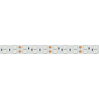 Светодиодная лента RT 2-5000 24V Yellow 2x2 (5060, 600 LED, LUX) (Arlight, 28.8 Вт/м, IP20) Lednikoff