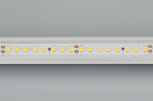 Светодиодная лента RTW 2-5000PS-50m 24V White6000 2x (2835, 160 LED/m, LUX) (Arlight, 12 Вт/м, IP67) Lednikoff