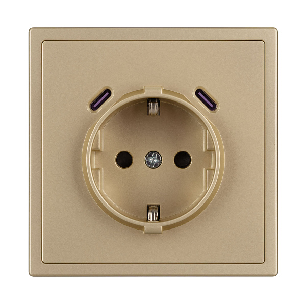 Механизм розетки с USB зарядкой SCT-NOBE-MUCC-SFPL-GD (230V, 16A) (Arlight, -) Lednikoff