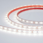 Светодиодная лента герметичная RTW-PS-A60-10mm 12V White6000 (4.8 W/m, IP67, 2835, 5m) (Arlight, -) Lednikoff
