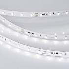 Светодиодная лента RT-20000 24V Day4000 (3528, 60 LED/m, 20m) (Arlight, 4.8 Вт/м, IP20) Lednikoff