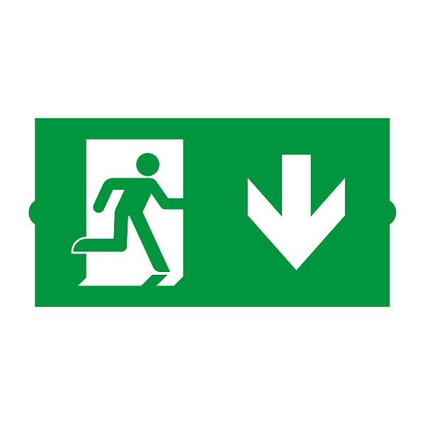 Пиктограмма EMGP-DIRECT-DOWN (Вниз) (Arlight, Пластик) Lednikoff