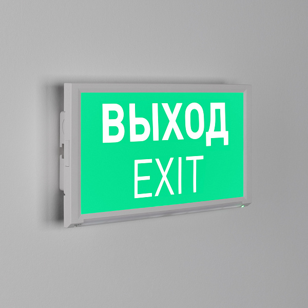 Аварийная панель EMG-DIRECT-3h (Пикт. Выход, IP20) (Arlight, IP20 Пластик, 3 года) Lednikoff