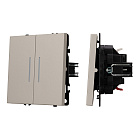 Механизм выключателя двухклавишный непроходной LED SWT-NOBE-MK02-SFPL-L-CA (230V, 10A) (Arlight, Кашемир) Lednikoff