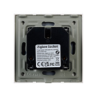 Розетка электрическая с Zigbee управлением SCT-OMALI-EUZB1-PL-GD (240V, 16A, Zigbee) (Arlight, -) Lednikoff