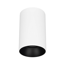 Светильник SP-SALT-R95-20W Warm3000 (WH-BK, 40 deg, 230V) (Arlight, IP54 Металл, 5 лет)