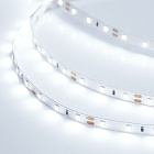 Светодиодная лента RT 2-5000 12V Cool 8K (2835, 300 LED, PRO) (Arlight, 7.2 Вт/м, IP20) Lednikoff