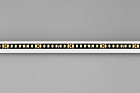 Светодиодная лента RT-5000-2835-160-24V Warm3000 (Black 8mm, 12W, IP20) (Arlight, -) Lednikoff