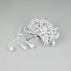 Светодиодная гирлянда ARD-STRING-PRO-10000-WHITE-100LED-LIVE RGB-DMX (24V, 10W) (Ardecoled, IP65) Lednikoff