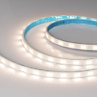 Светодиодная лента герметичная XRT-TPU-A80-12mm 24V Day4000 (10 W/m, IP67, 5m) (Arlight, CRI>90) Lednikoff