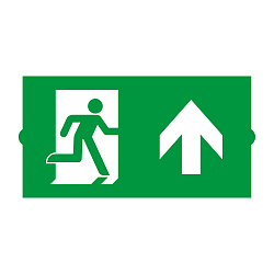 Пиктограмма EMGP-DIRECT-UP (Вверх) (Arlight, Пластик)