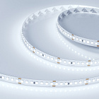 Светодиодная лента RT 2-5000 24V Cool 8K 3x (2835, 840 LED, LUX) (Arlight, 17 Вт/м, IP20) Lednikoff