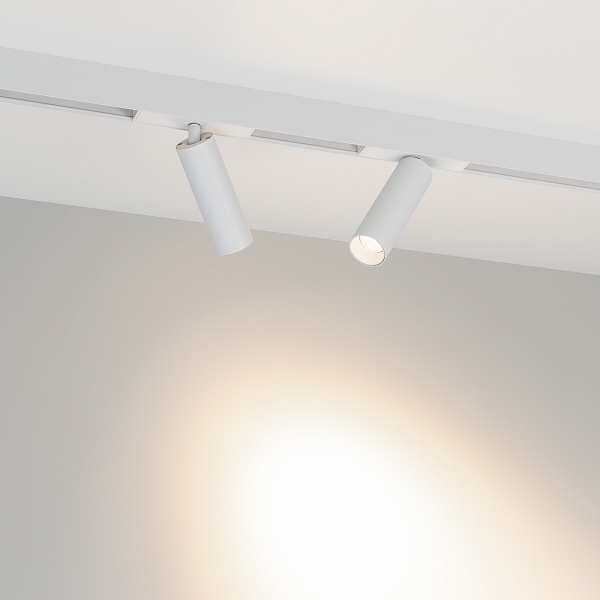 Светильник MAG-SPOT-25-R120-12W Day4000 (WH, 30 deg, 24V) (Arlight, IP20 Металл, 5 лет)