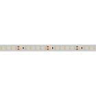 Светодиодная лента RTW 2-5000PGS 24V Cool 2x (3528, 600 LED, LUX) (Arlight, 9.6 Вт/м, IP67) Lednikoff