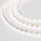 Светодиодная лента RT 2-5000-50m 24V Day4000 (3528, 60 LED/m, LUX) (Arlight, 4.8 Вт/м, IP20) Lednikoff