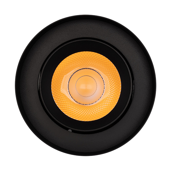 Светильник SP-FOCUS-R132-24W Day4000 (BK, 15 deg, 230V) (Arlight, IP54 Металл, 5 лет) Lednikoff