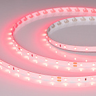Светодиодная лента RT-A60-8mm 24V Ruby (4.8 W/m, IP20, 5m) (Arlight, -) Lednikoff