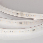 Светодиодная лента герметичная DMX-PS-B70-14mm 24V RGBW-Warm-PX7 (17 W/m, IP67, 5060, 5m) (Arlight, CRI>90) Lednikoff