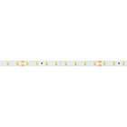 Светодиодная лента RT-A80-8mm 24V Warm3000 (6 W/m, IP20, 2835, 50m) (Arlight, высок.эфф.150 лм/Вт) Lednikoff