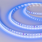Светодиодная лента RT 2-5000 24V Blue 2x (3528, 600 LED, LUX) (Arlight, 9.6 Вт/м, IP20) Lednikoff