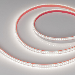 Светодиодная лента герметичная RTW-PS-A160-10mm 24V Day5000 (12 W/m, IP67, 2835, 5m) (Arlight, 12 Вт/м, IP67)