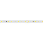 Светодиодная лента RT 2-5000 24V Warm2700 (2835, 80 LED/m, LUX) (Arlight, 6 Вт/м, IP20) Lednikoff