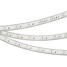 Светодиодная лента RTW-5000PU-2835-120 12V Blue (10.5mm, 14.4W, IP68) (Arlight, Закрытый) Lednikoff