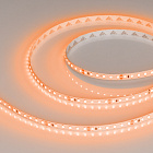 Светодиодная лента RT-A120-8mm 24V Orange (9.6 W/m, IP20, 2835, 5m) (Arlight, -) Lednikoff